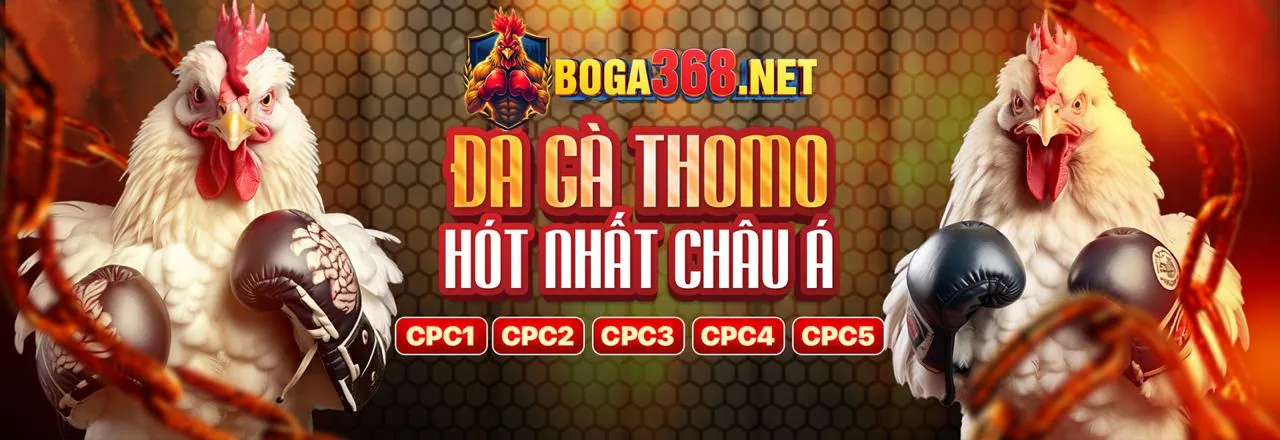 Đa dạng trò chơi cá cược tại rt88 win