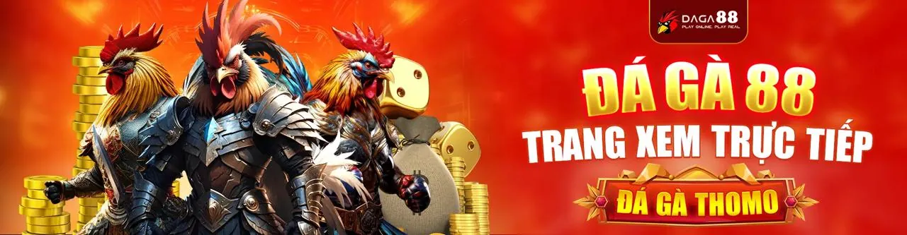 Hình ảnh chính về chiến lược cá cược tốt nhất tại rt88 win